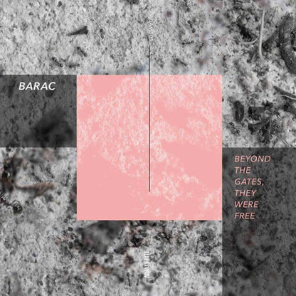 Barac - Beyond The Gates, They Were Free (VINYL) | Mint (M) Mint (M)-