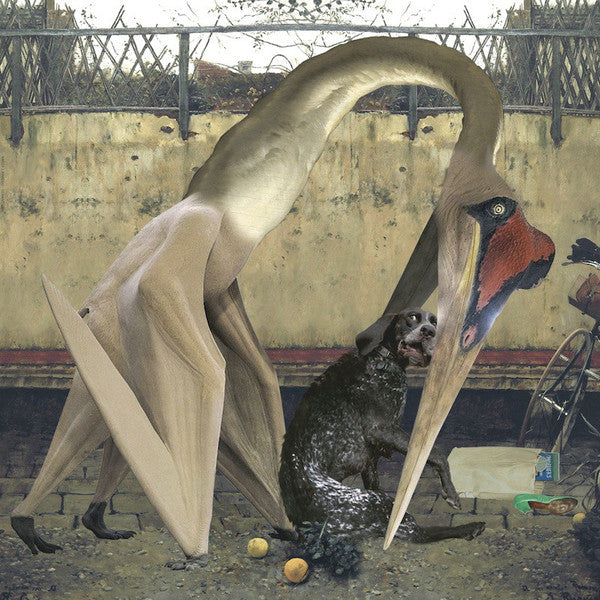Rhadoo - Semantics EP (2xVINYL) | Near Mint (NM) Near Mint (NM)-