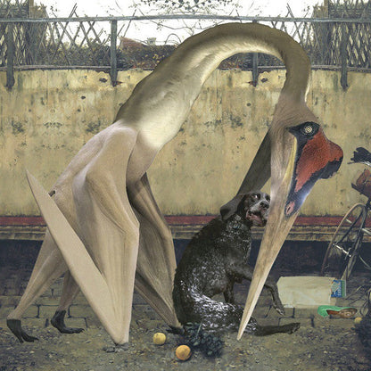 Rhadoo - Semantics EP (2xVINYL) | Near Mint (NM) Near Mint (NM)-