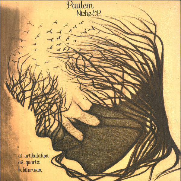 Paulem (2) - Niche EP | Mint (M) Mint (M)-