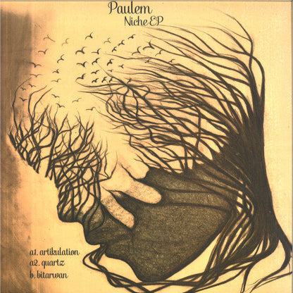 Paulem (2) - Niche EP | Mint (M) Mint (M)-