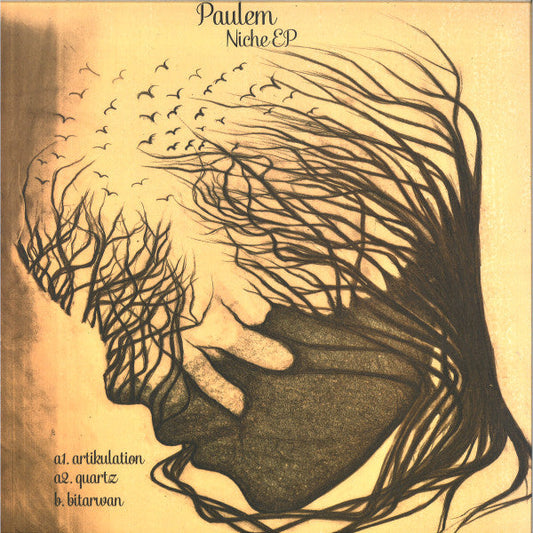Paulem (2) - Niche EP | Mint (M) Mint (M)-