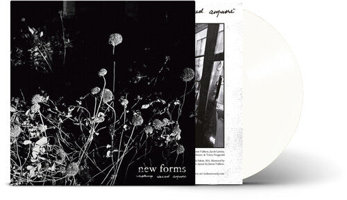 New Forms - Nothing'S Sacred Anymore [Clear Vinyl] |-