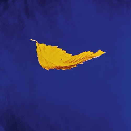 New Order - True Faith (2023 Remaster) (Vinyl) | Mint (M) Mint (M)-