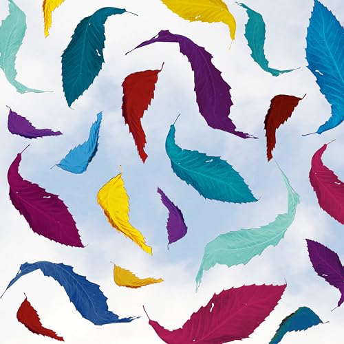 New Order - True Faith Remix (2023 Remaster) | Mint (M) Mint (M)-