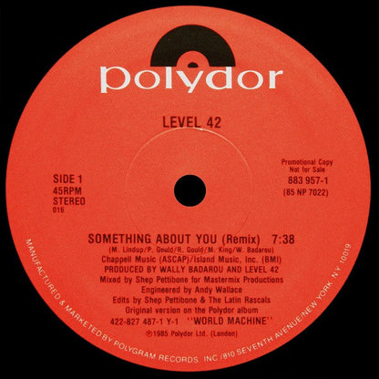 Something About You (Remix) | Mint (M) Generic-
