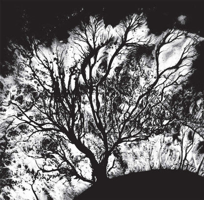 Dead Can Dance - The Serpent's Egg | Mint (M) Mint (M)-