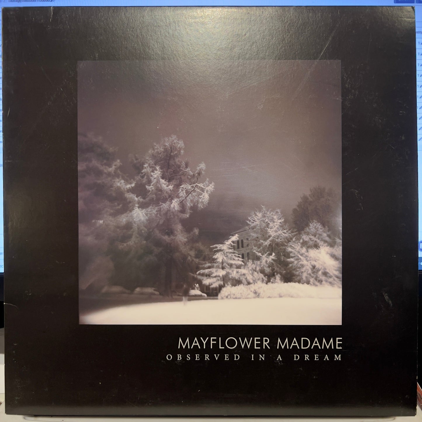 Mayflower Madame - Observed In A Dream | Near Mint (NM) Near Mint (NM)-