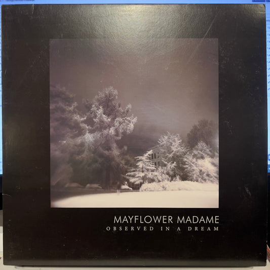 Mayflower Madame - Observed In A Dream | Near Mint (NM) Near Mint (NM)-