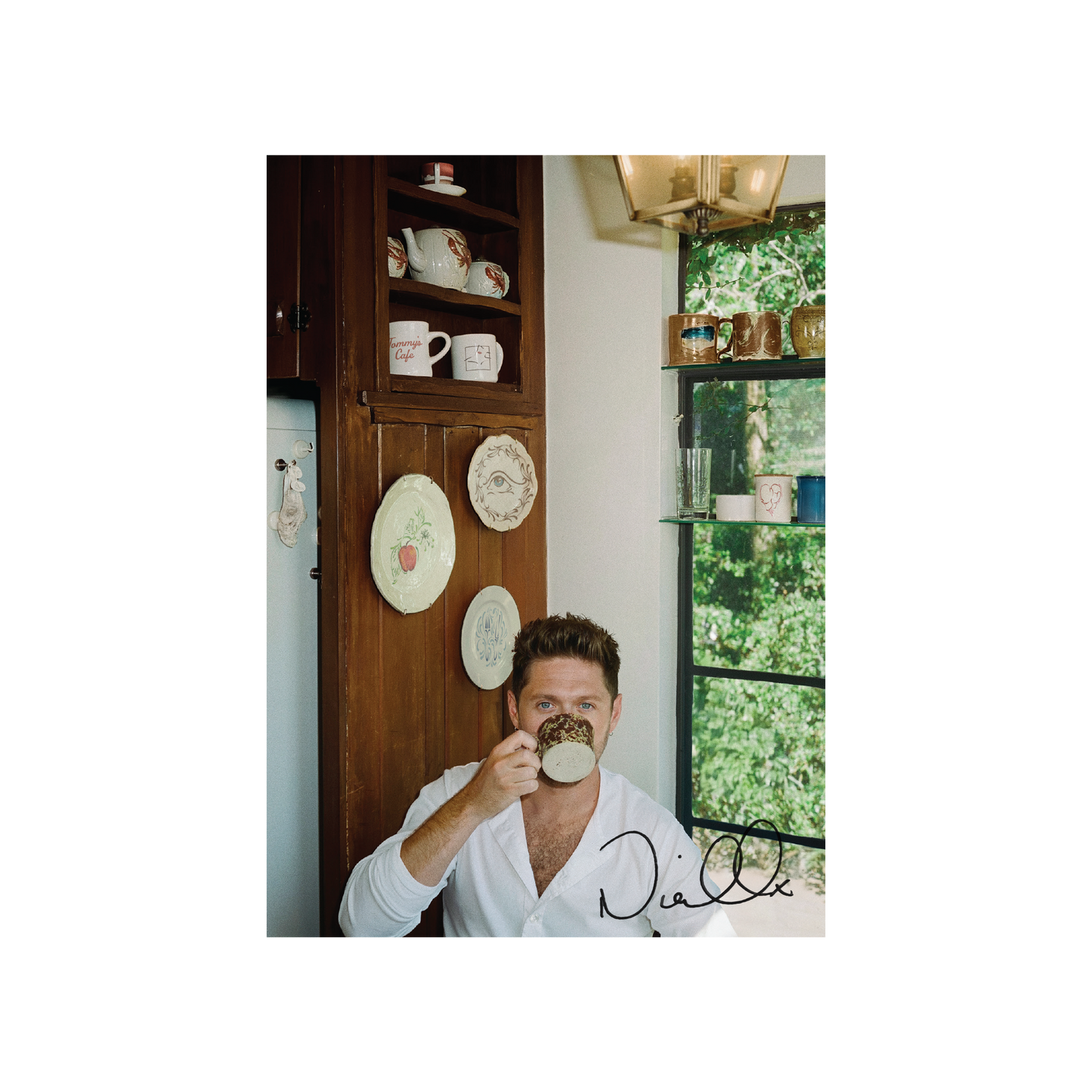 Niall Horan - Dinner Party (SIGNED INSERT PORCELAIN VINYL) | Mint (M) Mint (M)-