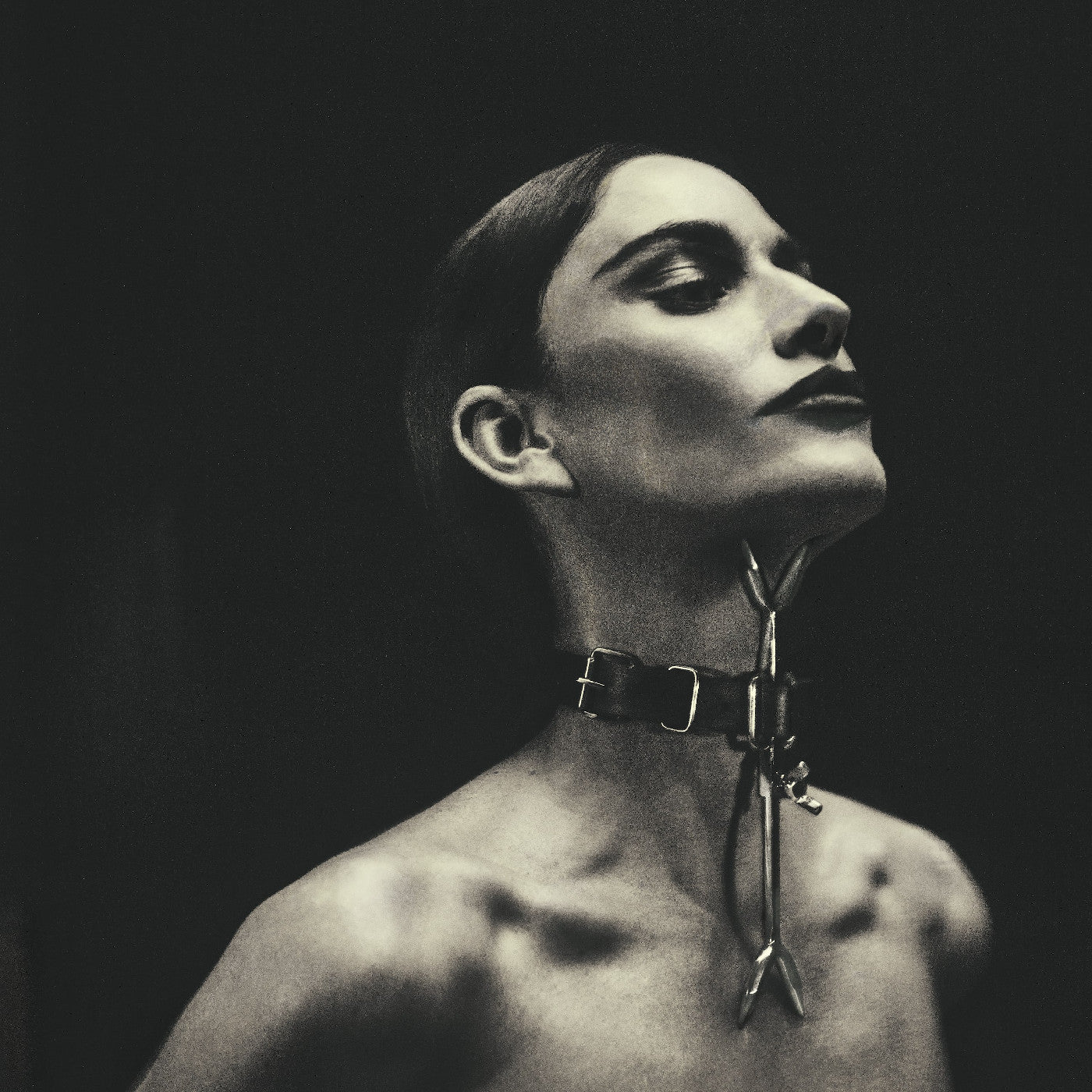 Niia - V (CD) | Mint (M) Mint (M)-