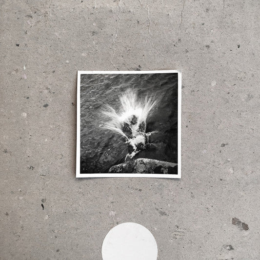 Nils Frahm - Empty | Mint (M) Mint (M)-