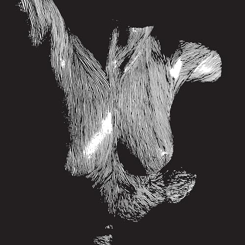 Oceansize - Self Preserved While The Bodies Float Up (15Th Anniversary) [3Lp] | Mint (M) Mint (M)-