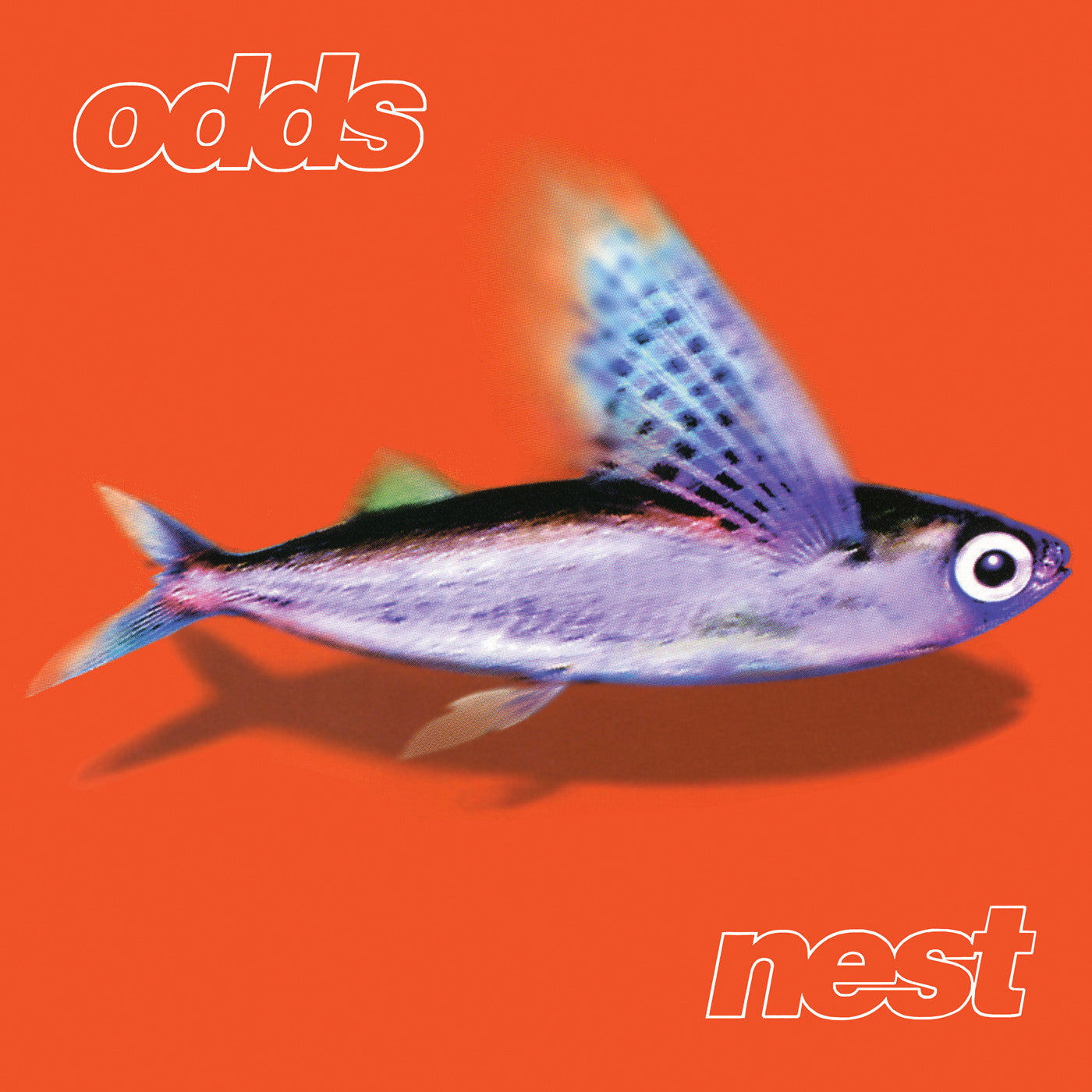 Odds - Nest (VINYL) | Mint (M) Mint (M)-