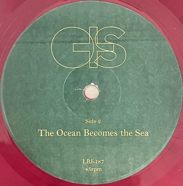 O+S - Flowers Turn To Fire | Mint (M) Mint (M)-