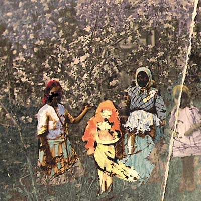 PAAVOHARJU - Laulu Laakson Kukista (CD) | Mint (M) Mint (M)-