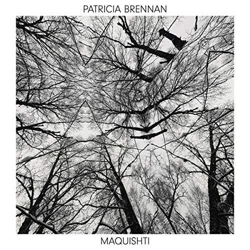 Patricia Brennan - Maquishti (YELLOW VINYL LP Valley of Search VALY31497.1) | NEW-