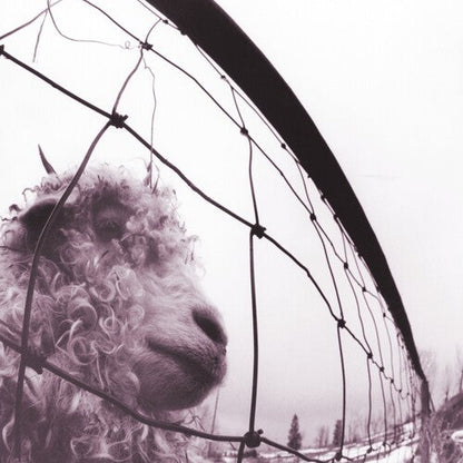 Pearl Jam - Vs. (CLEAR VINYL) | Mint (M) Mint (M)-