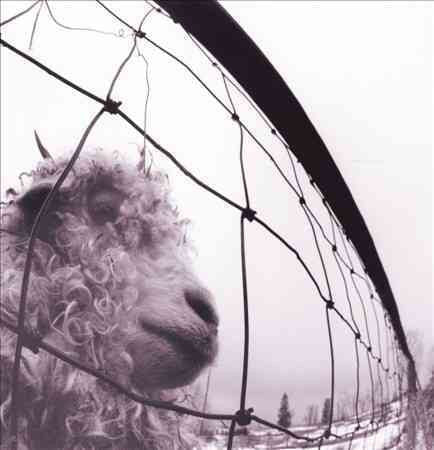 Pearl Jam - Vs. (180 GRAM VINYL) | Mint (M) Mint (M)-