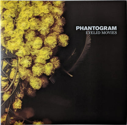 Phantogram - Eyelid Movies (VINYL) | Mint (M) Mint (M)-