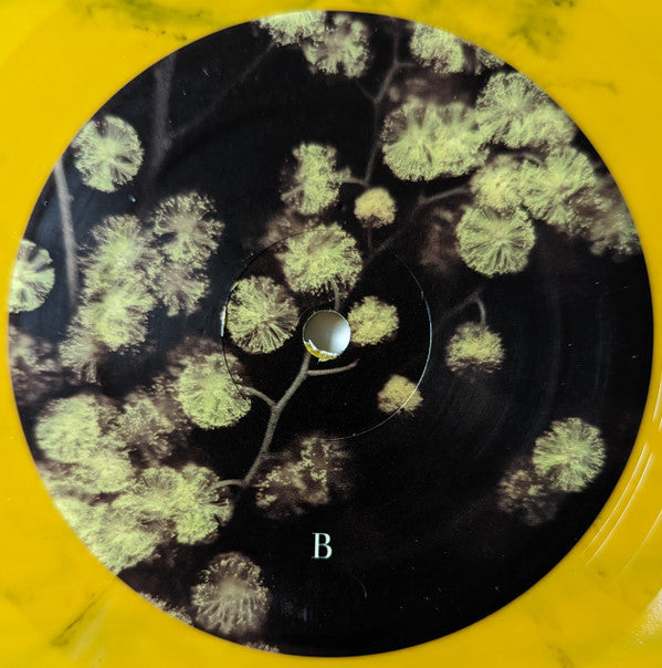 Phantogram - Eyelid Movies (VINYL) | Mint (M) Mint (M)-