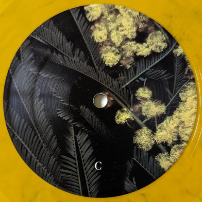 Phantogram - Eyelid Movies (VINYL) | Mint (M) Mint (M)-