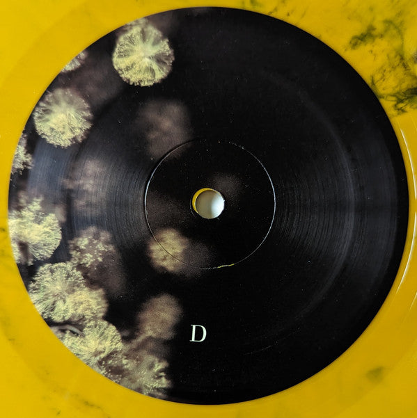 Phantogram - Eyelid Movies (VINYL) | Mint (M) Mint (M)-