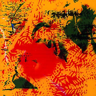 YPGPN |-
