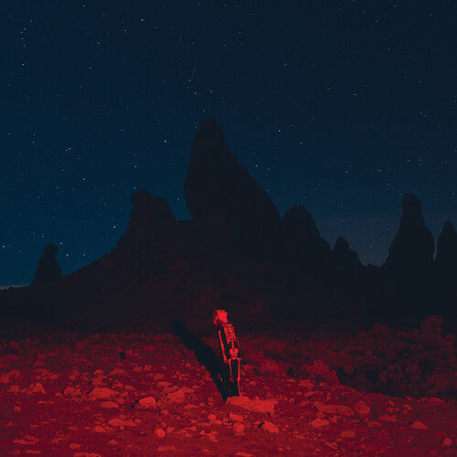 Phoebe Bridgers - Punisher (CD) | Mint (M) Mint (M)-