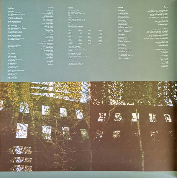 Pinegrove - 11:11 | Mint (M) Mint (M)-