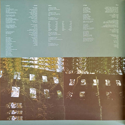 Pinegrove - 11:11 | Mint (M) Mint (M)-