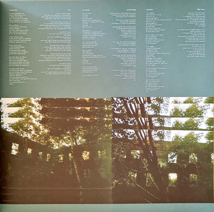 Pinegrove - 11:11 | Mint (M) Mint (M)-