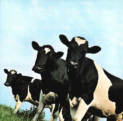Pink Floyd Atom Heart Mother Pink Floyd Records LP, Album, RE, RM, 180 Mint (M) Mint (M)-