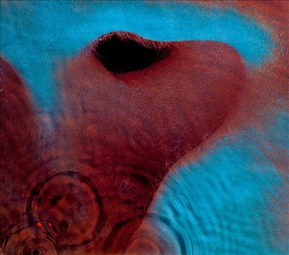 Pink Floyd - Meddle (VINYL) | Mint (M) Mint (M)-