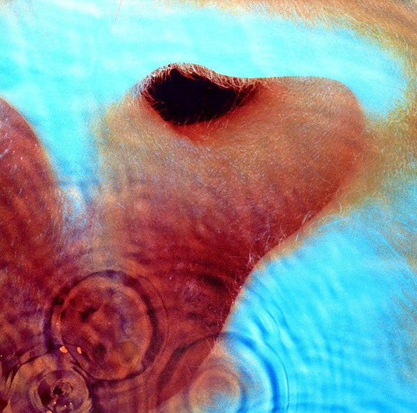 Pink Floyd - Meddle | Mint (M) Mint (M)-
