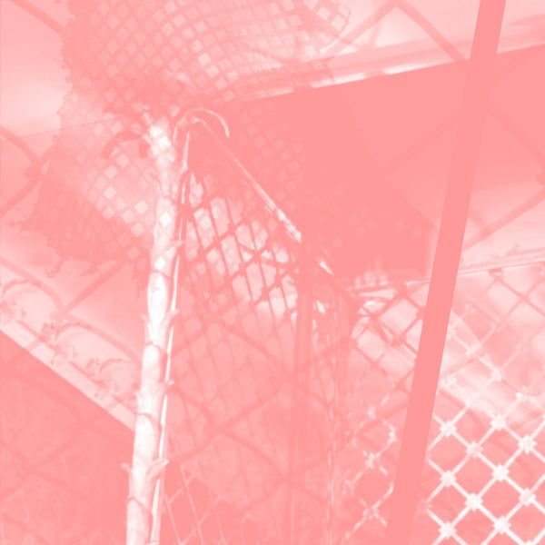 PINKCOURTESYPHONE - All Intensive Purposes |-