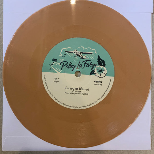 Pokey LaFarge - In The Blossom Of Their Shade | Mint (M) Mint (M)-