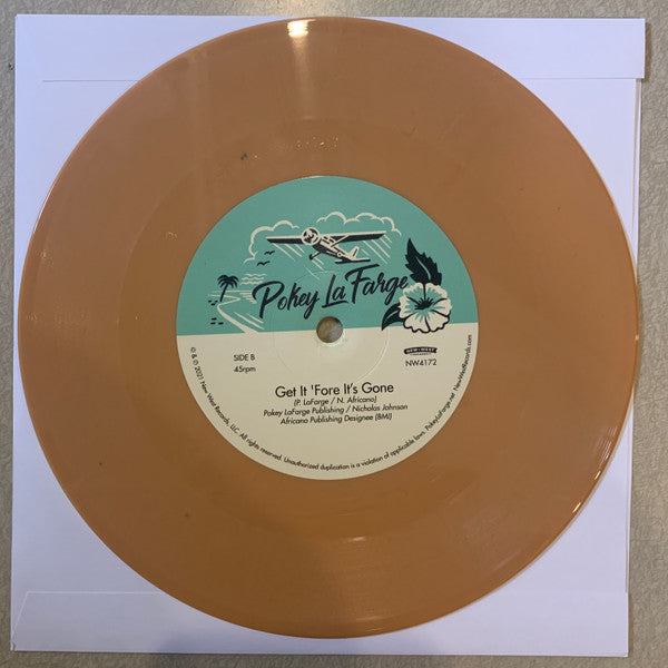 Pokey LaFarge - In The Blossom Of Their Shade | Mint (M) Mint (M)-