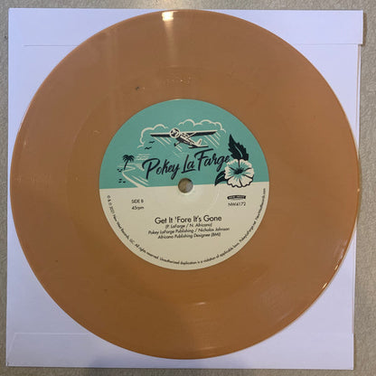 Pokey LaFarge - In The Blossom Of Their Shade | Mint (M) Mint (M)-
