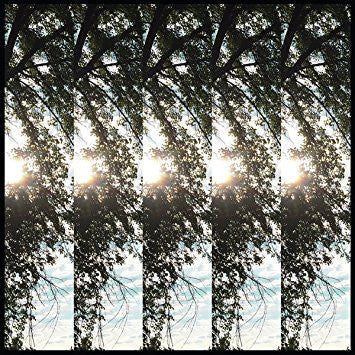 Dialectic Of Ignorance | Mint (M) Mint (M)-
