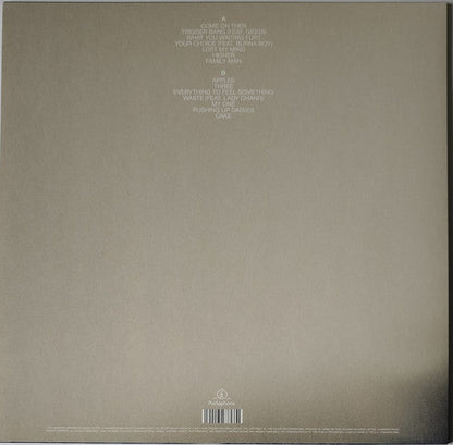 Lily Allen - No Shame (CLEAR VINYL) | Mint (M) Mint (M)-