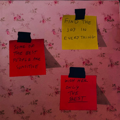 Caroline Rose - The Art of Forgetting (2xVINYL VMP) | Mint (M) Mint (M)-
