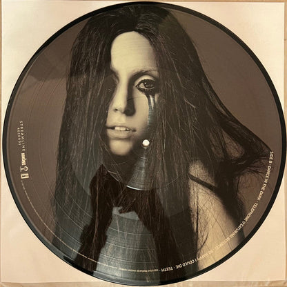Lady Gaga - The Fame Monster (Picture Disc Vinyl) | Mint (M) Mint (M)-