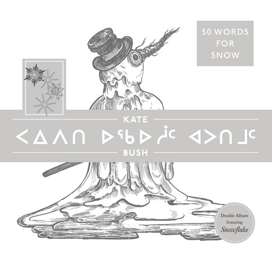 Kate Bush - 50 Words For Snow: Polar Edition (180 GRAM VINYL) | Mint (M) Mint (M)-