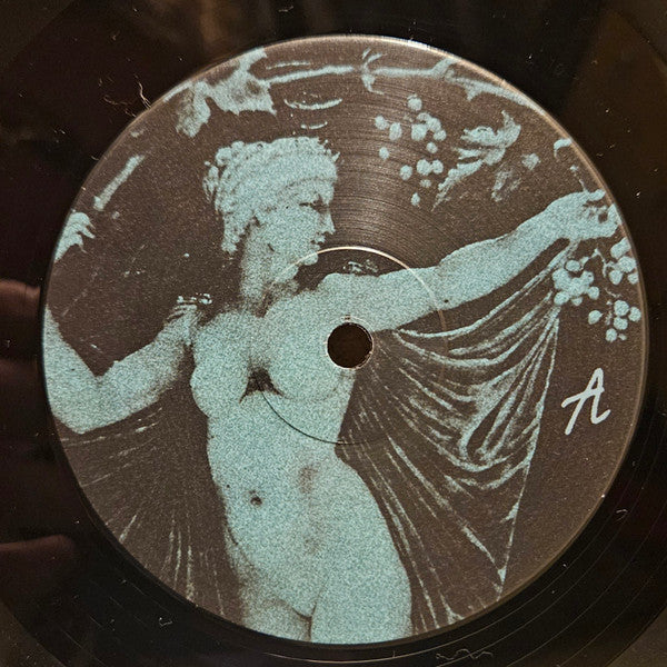 TV Girl - Grapes Upon The Vine (VINYL) | Mint (M) Mint (M)-