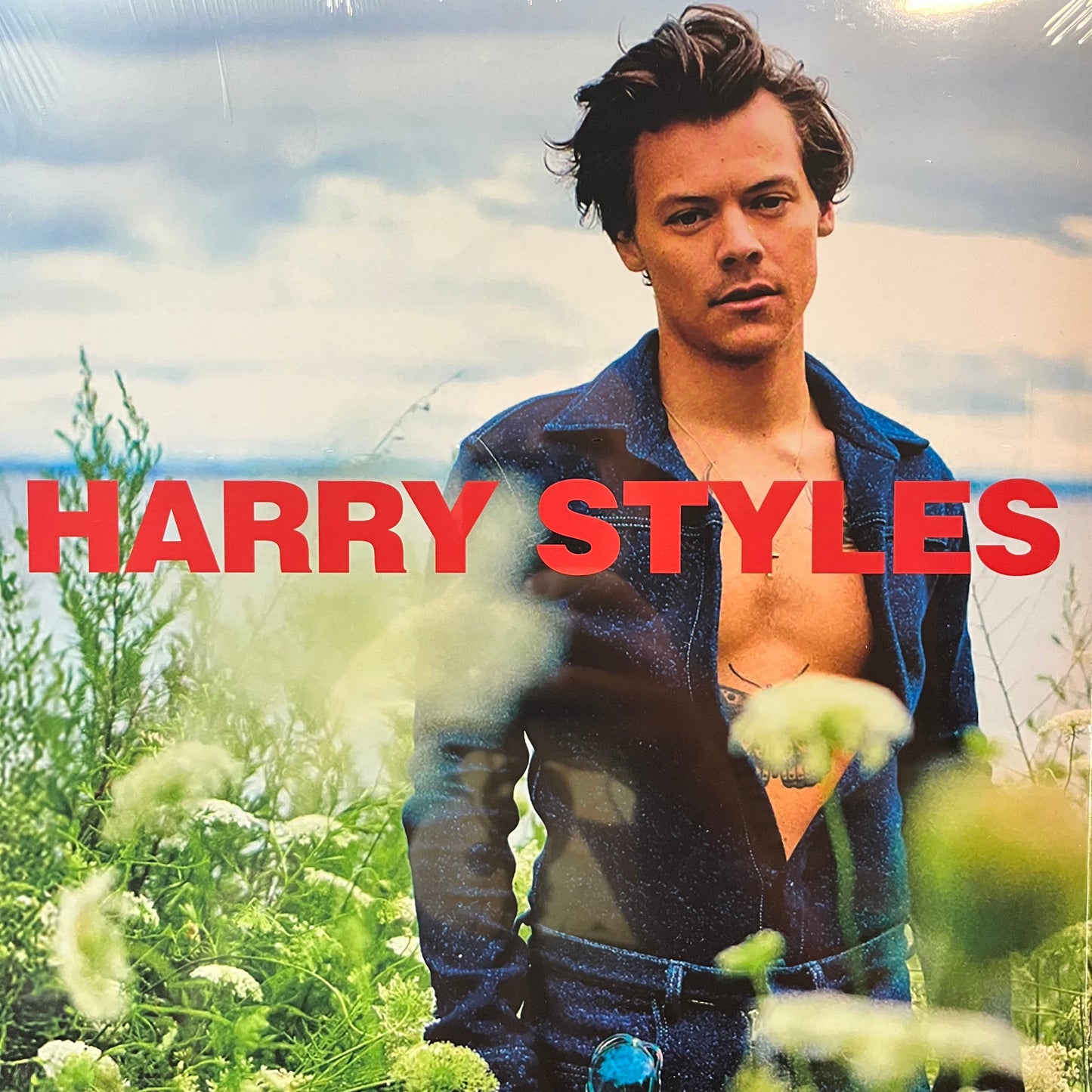 Harry Styles - Country Life (VINYL) | Mint (M) Mint (M)-