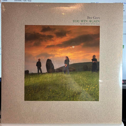 Bee Gees - You Win Again (12" VINYL) | Mint (M) Mint (M)-