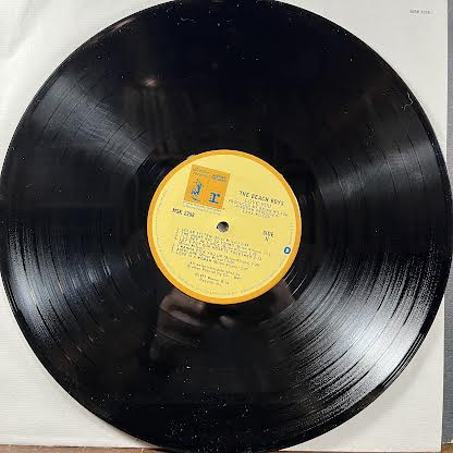 The Beach Boys - Love You (VINYL) | Near Mint- (NM-) Excellent (EX)-
