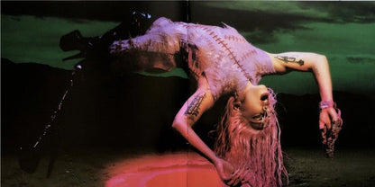 Lady Gaga - Chromatica (VINYL) | Near Mint (NM) Near Mint (NM)-