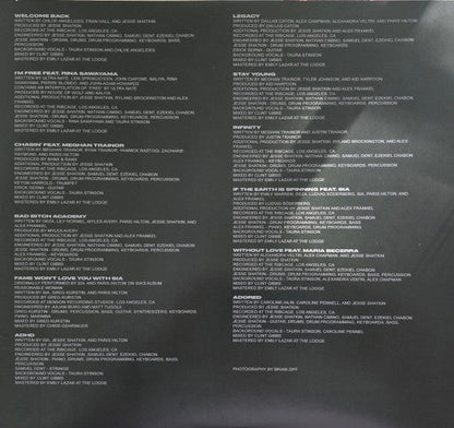 Paris Hilton - Infinite Icon (VINYL) | Near Mint (NM) Near Mint (NM)-